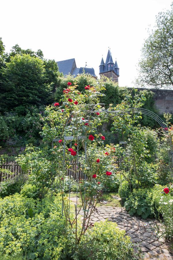 Schloss Spangenberg 外观 照片